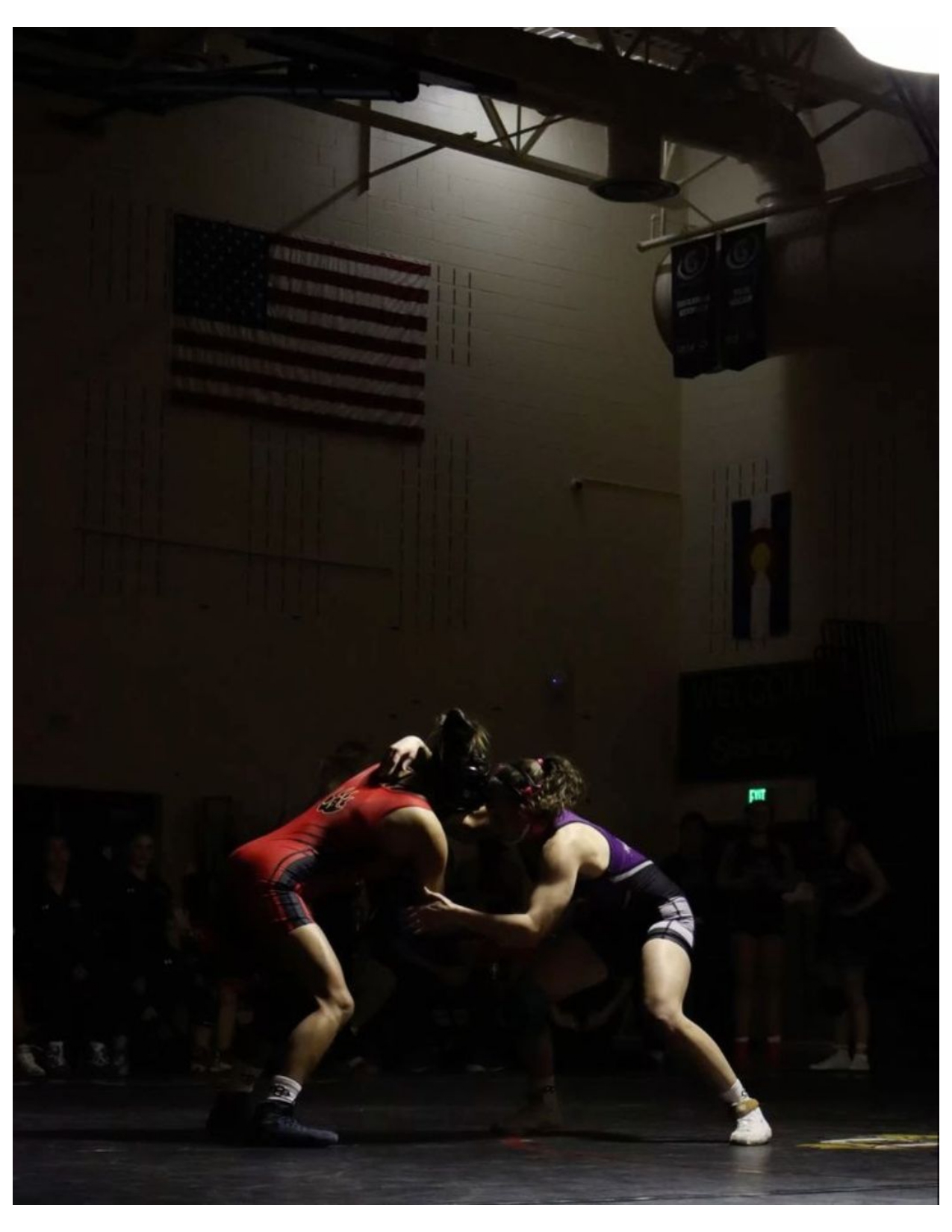 دورة المصارعة النسائية